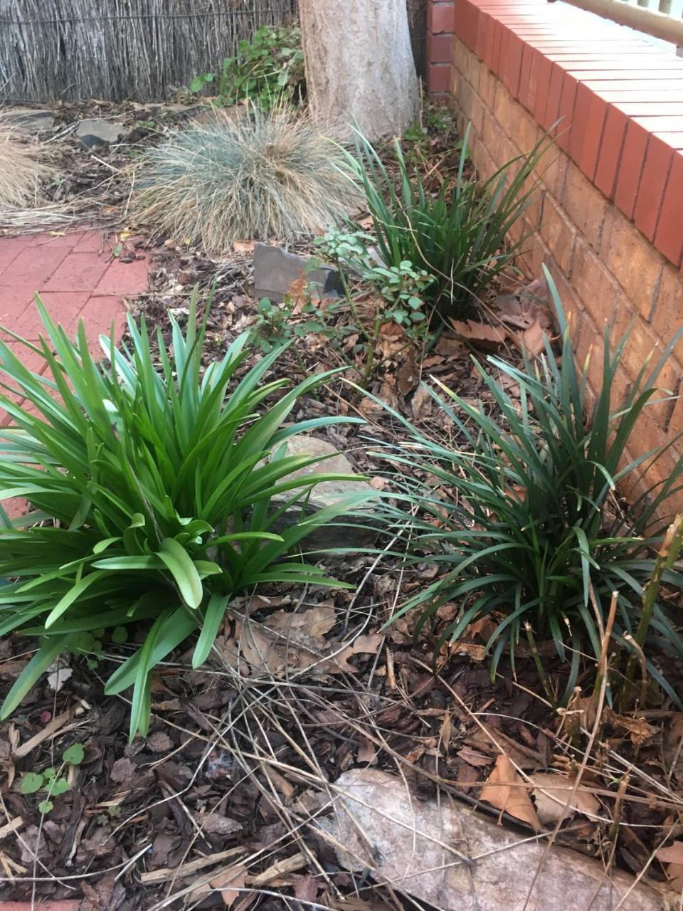 Adelaide Style Accommodation-Getaway In North Adelaide- Close To City Luaran gambar