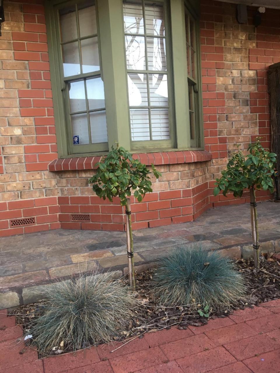 Adelaide Style Accommodation-Getaway In North Adelaide- Close To City Luaran gambar