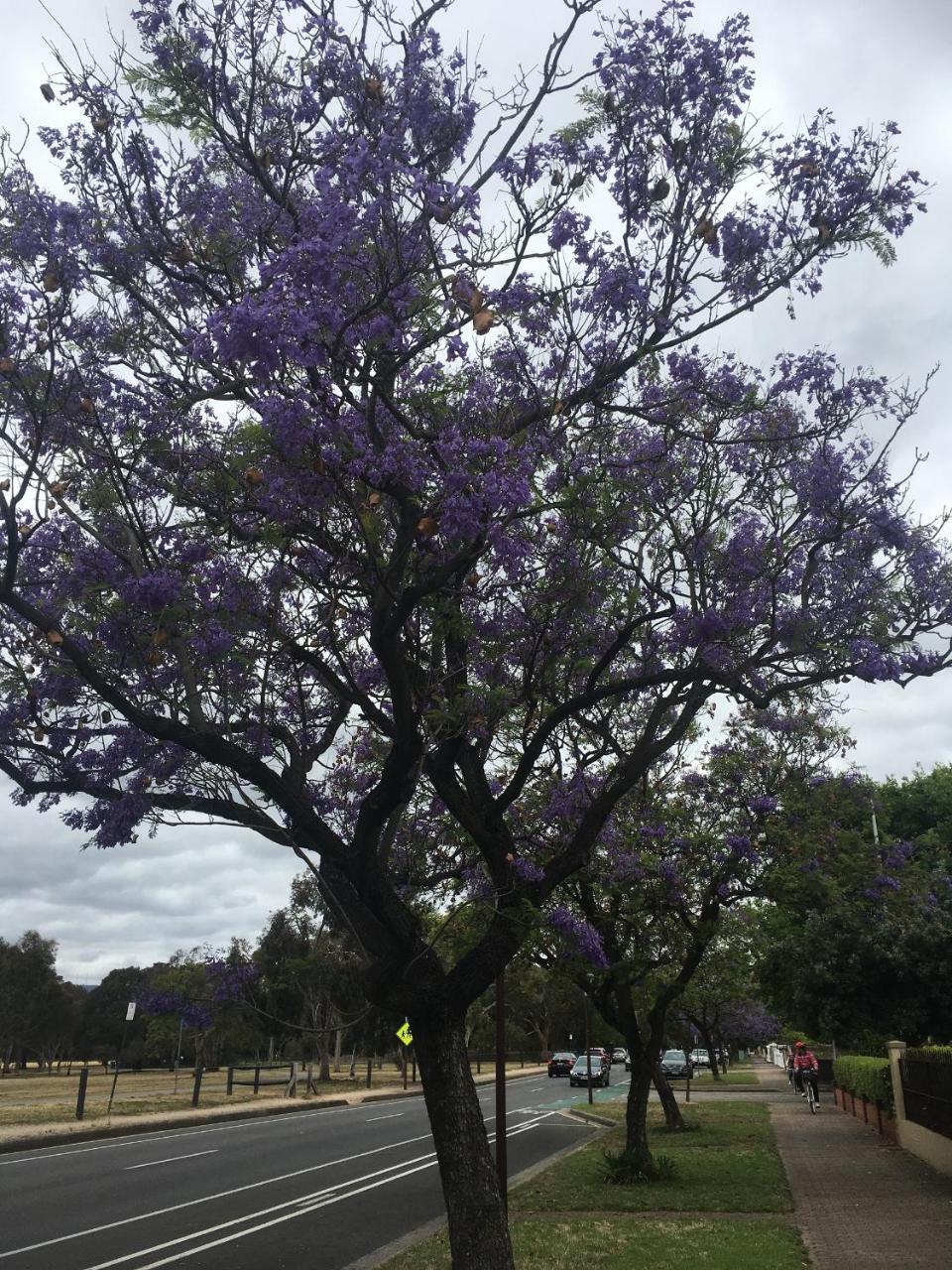 Adelaide Style Accommodation-Getaway In North Adelaide- Close To City Luaran gambar